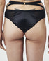 Addison Brief